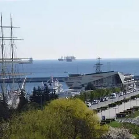 Avis - City Gdynia